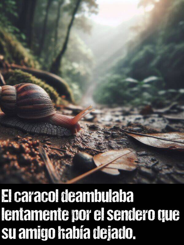 lentamente: El caracol deambulaba lentamente por el sendero que su amigo haba dejado.