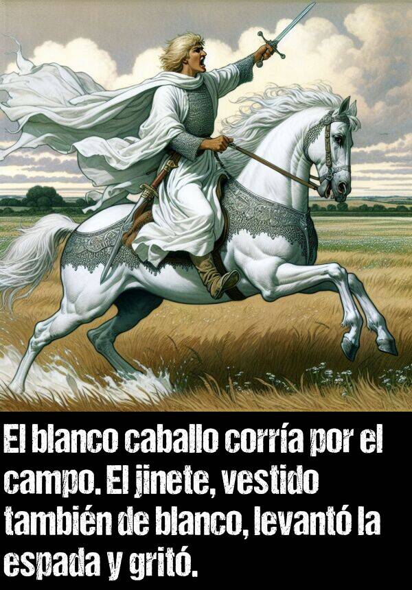 caballo: El blanco caballo corra por el campo. El jinete, vestido tambin de blanco, levant la espada y grit.