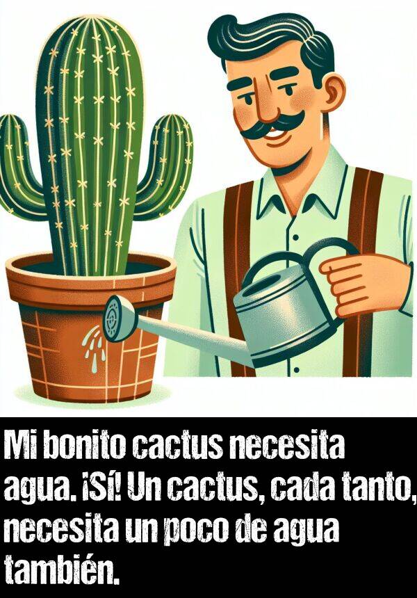 bonito: Mi bonito cactus necesita agua. S! Un cactus, cada tanto, necesita un poco de agua tambin.