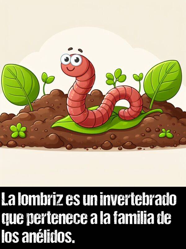 invertebrado: La lombriz es un invertebrado que pertenece a la familia de los anlidos.