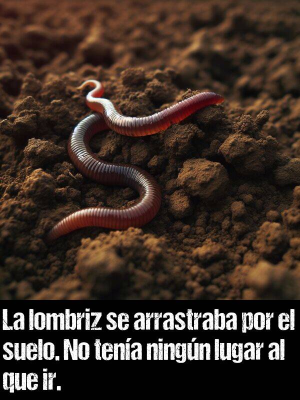 arrastraba: La lombriz se arrastraba por el suelo. No tena ningn lugar al que ir.