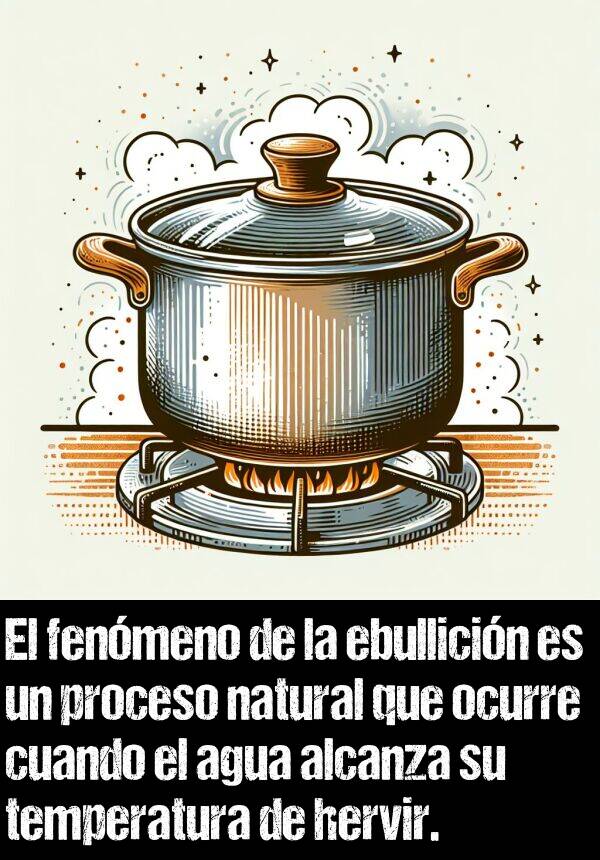 hervir: El fenmeno de la ebullicin es un proceso natural que ocurre cuando el agua alcanza su temperatura de hervir.