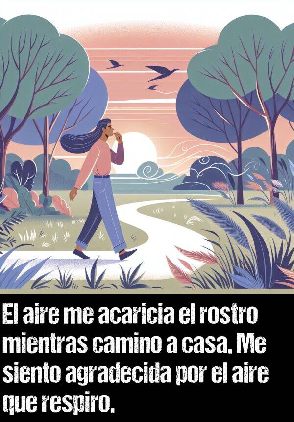 aire: El aire me acaricia el rostro mientras camino a casa. Me siento agradecida por el aire que respiro.