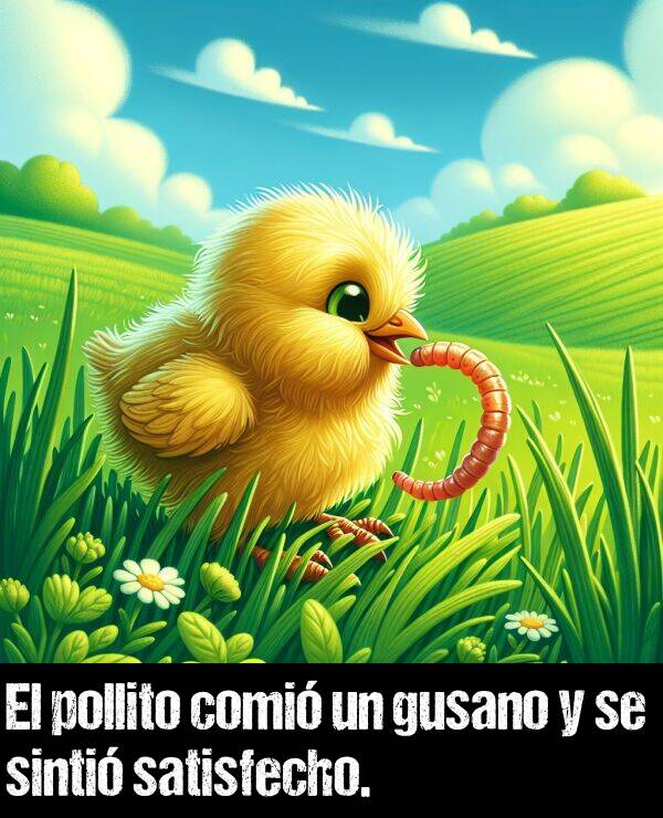 gusano: El pollito comi un gusano y se sinti satisfecho.