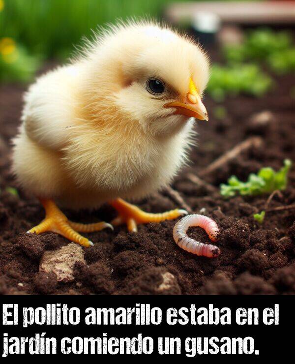 gusano: El pollito amarillo estaba en el jardn comiendo un gusano.