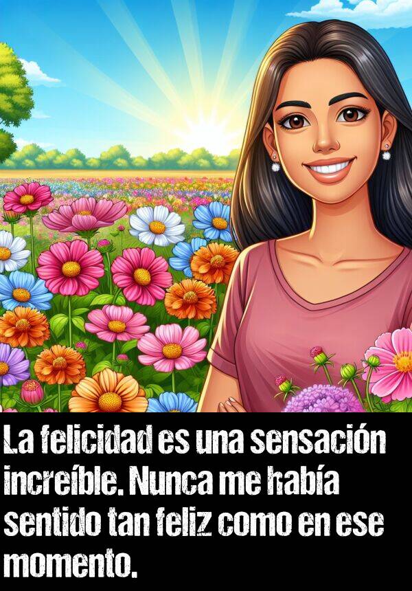 felicidad: La felicidad es una sensacin increble. Nunca me haba sentido tan feliz como en ese momento.