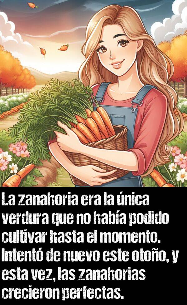 otoo: La zanahoria era la nica verdura que no haba podido cultivar hasta el momento. Intent de nuevo este otoo, y esta vez, las zanahorias crecieron perfectas.