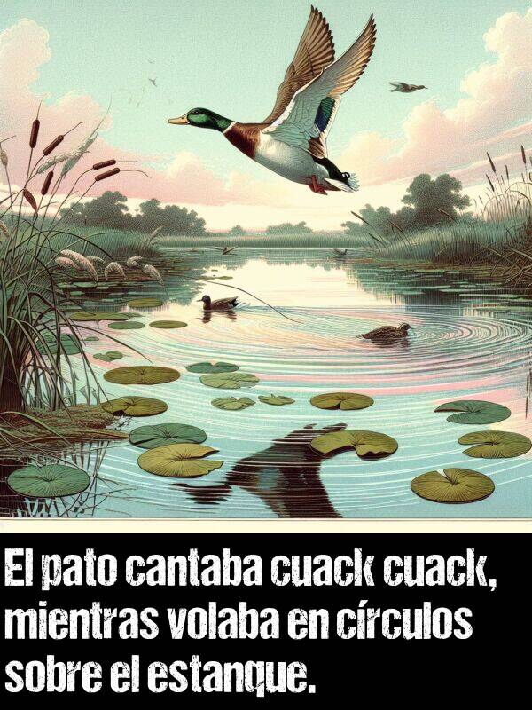 estanque: El pato cantaba cuack cuack, mientras volaba en crculos sobre el estanque.