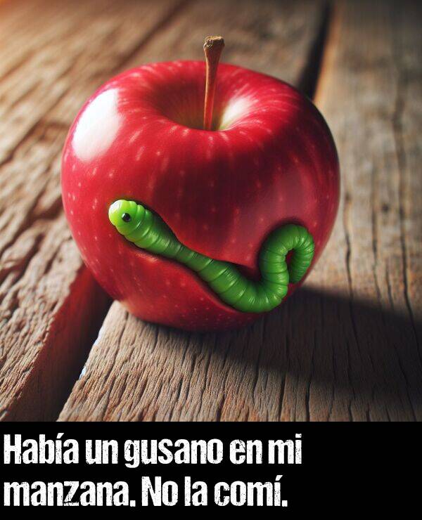 gusano: Haba un gusano en mi manzana. No la com.