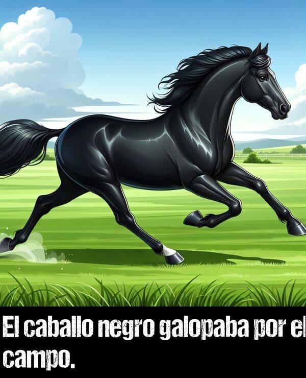 caballo: El caballo negro galopaba por el campo.