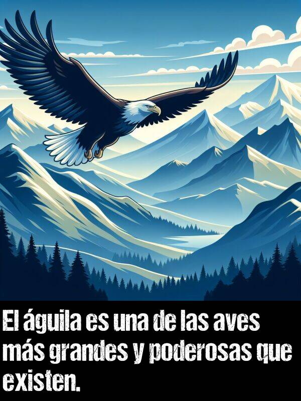 aves: El guila es una de las aves ms grandes y poderosas que existen.