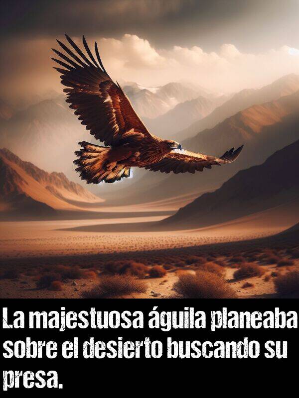 guila: La majestuosa guila planeaba sobre el desierto buscando su presa.