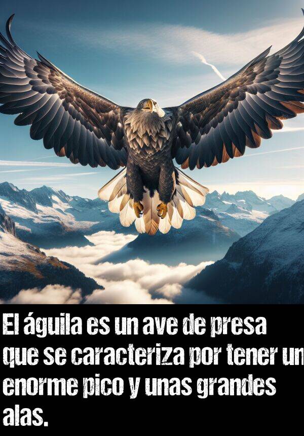 presa: El guila es un ave de presa que se caracteriza por tener un enorme pico y unas grandes alas.