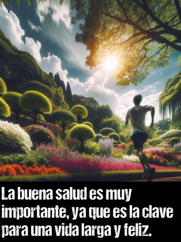 salud: La buena salud es muy importante, ya que es la clave para una vida larga y feliz.