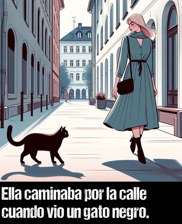 calle: Ella caminaba por la calle cuando vio un gato negro.