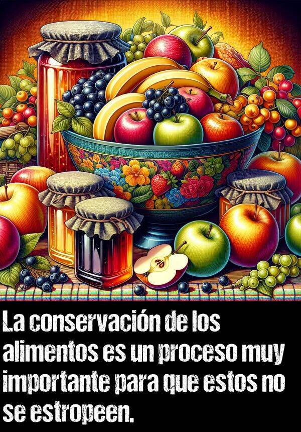 estropear: La conservacin de los alimentos es un proceso muy importante para que estos no se estropeen.