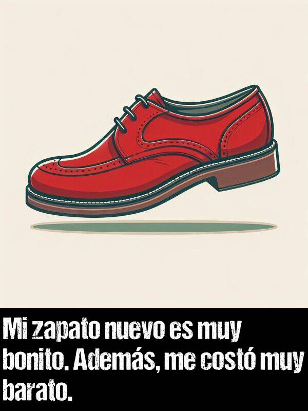 zapato: Mi zapato nuevo es muy bonito. Adems, me cost muy barato.