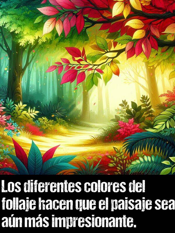 follaje: Los diferentes colores del follaje hacen que el paisaje sea an ms impresionante.