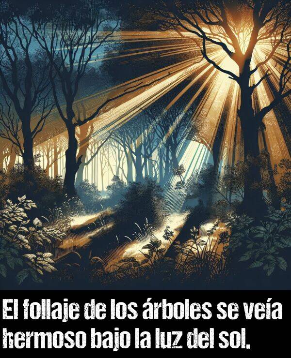 follaje: El follaje de los rboles se vea hermoso bajo la luz del sol.