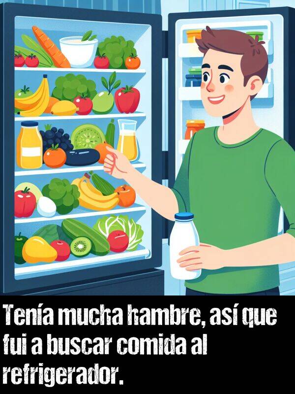 refrigerador: Tena mucha hambre, as que fui a buscar comida al refrigerador.