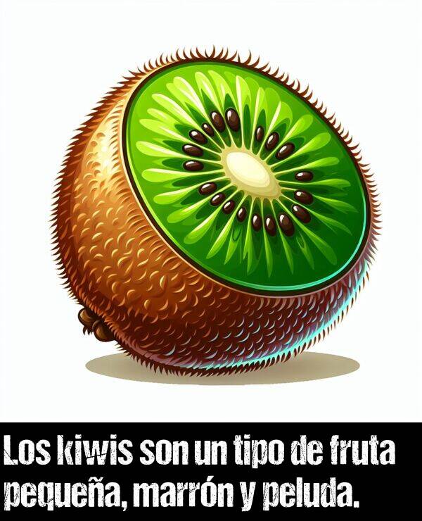 peludo: Los kiwis son un tipo de fruta pequea, marrn y peluda.