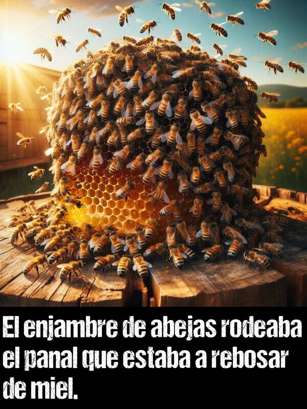 enjambre: El enjambre de abejas rodeaba el panal que estaba a rebosar de miel.