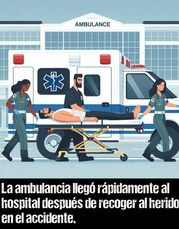 accidente: La ambulancia lleg rpidamente al hospital despus de recoger al herido en el accidente.