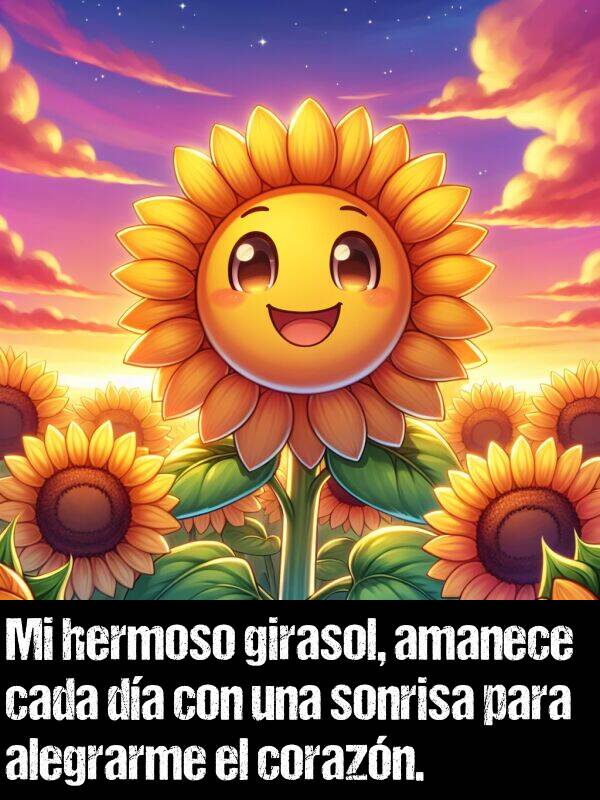 cada: Mi hermoso girasol, amanece cada da con una sonrisa para alegrarme el corazn.