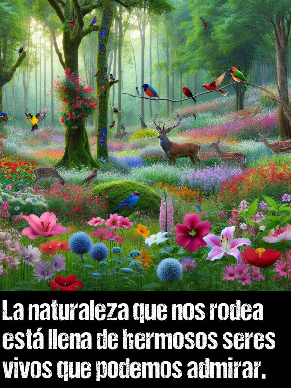 naturaleza: La naturaleza que nos rodea est llena de hermosos seres vivos que podemos admirar.