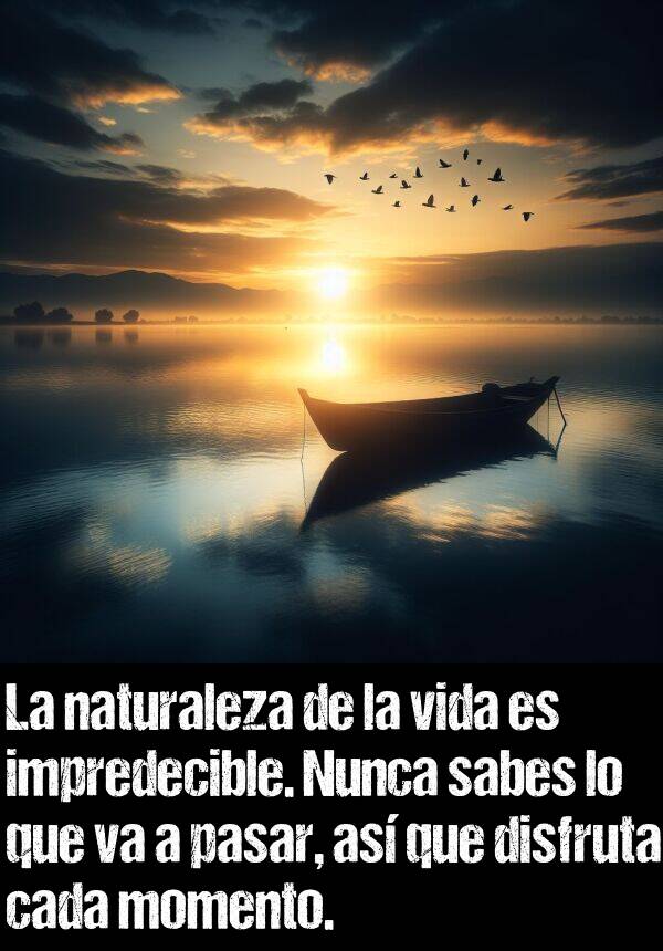 impredecible: La naturaleza de la vida es impredecible. Nunca sabes lo que va a pasar, as que disfruta cada momento.