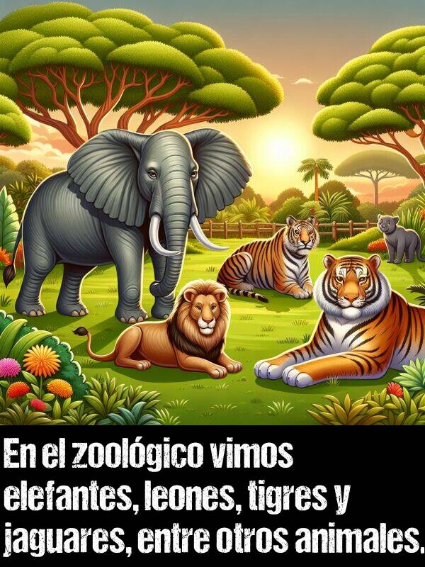 elefantes: En el zoolgico vimos elefantes, leones, tigres y jaguares, entre otros animales.