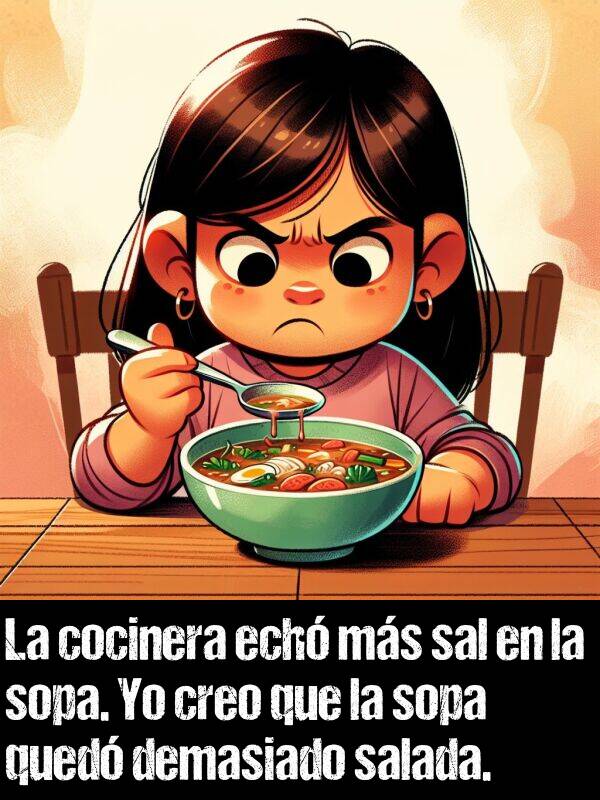 sopa: La cocinera ech ms sal en la sopa. Yo creo que la sopa qued demasiado salada.