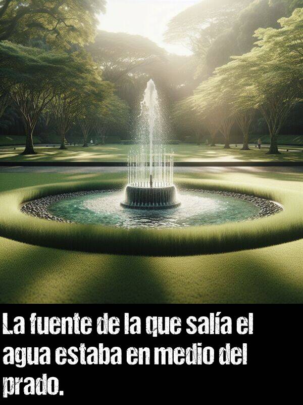 agua: La fuente de la que sala el agua estaba en medio del prado.