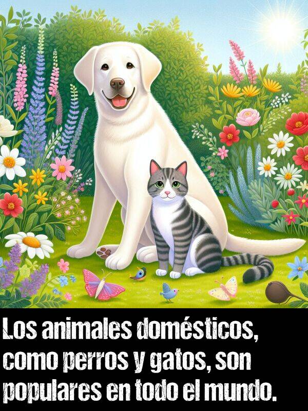 domsticos: Los animales domsticos, como perros y gatos, son populares en todo el mundo.