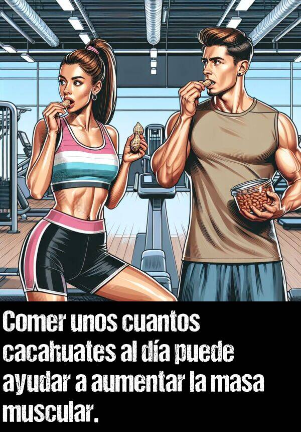 cuantos: Comer unos cuantos cacahuates al da puede ayudar a aumentar la masa muscular.