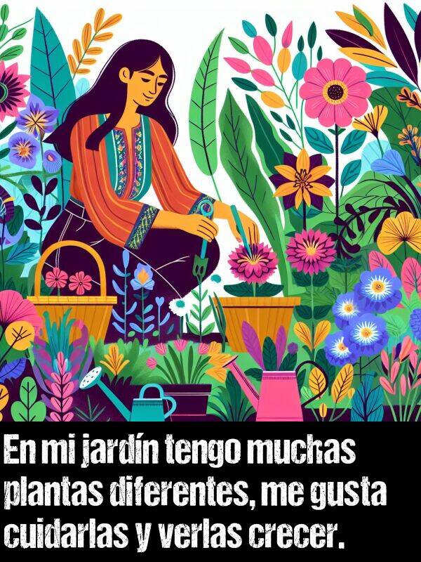 tengo: En mi jardn tengo muchas plantas diferentes, me gusta cuidarlas y verlas crecer.