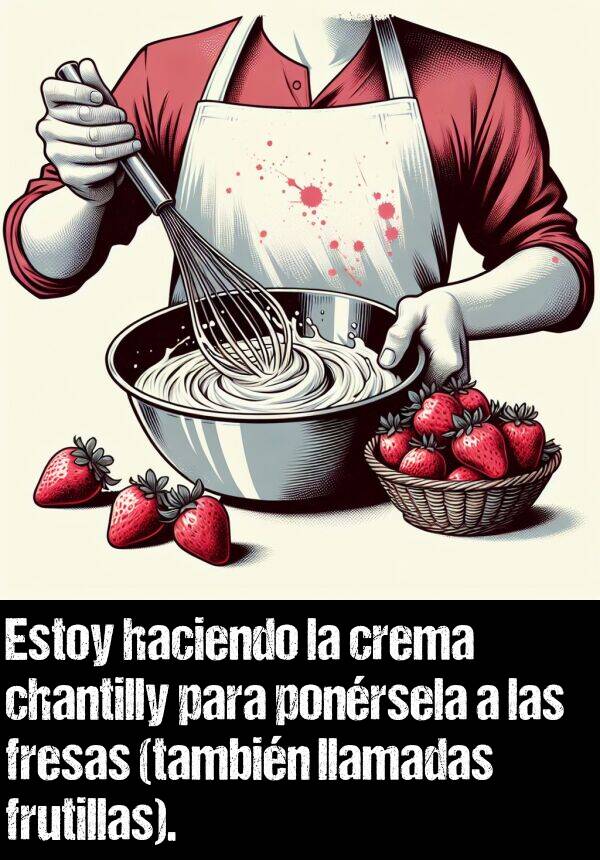 fresas: Estoy haciendo la crema chantilly para ponrsela a las fresas (tambin llamadas frutillas).