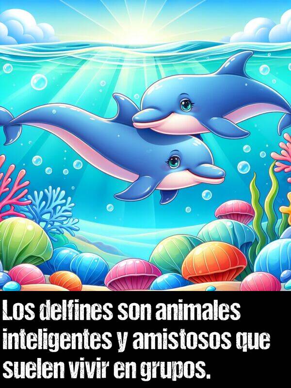 grupos: Los delfines son animales inteligentes y amistosos que suelen vivir en grupos.