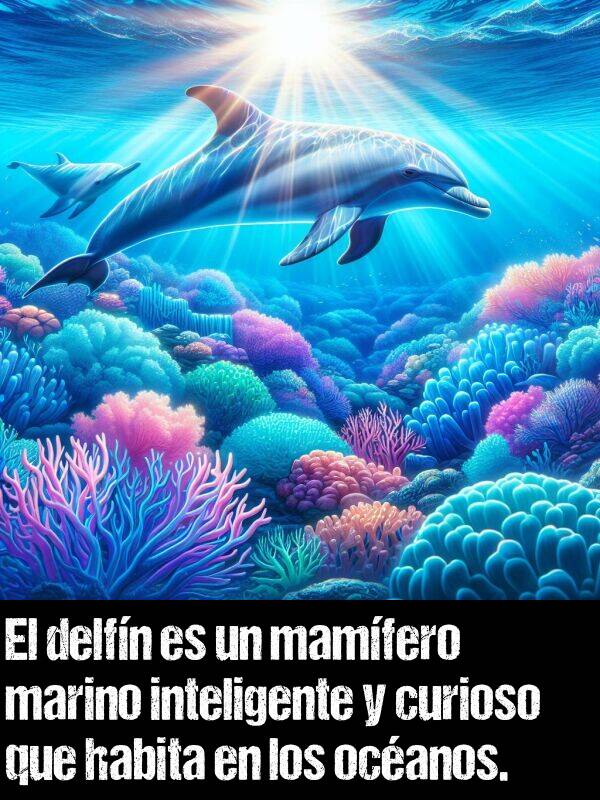 delfn: El delfn es un mamfero marino inteligente y curioso que habita en los ocanos.