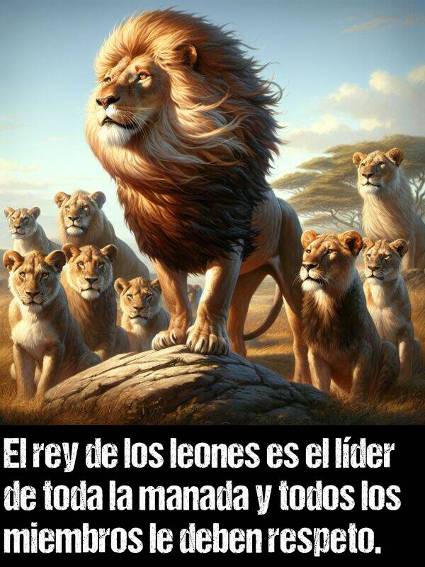 rey: El rey de los leones es el lder de toda la manada y todos los miembros le deben respeto.