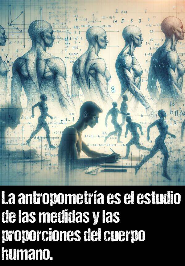 medidas: La antropometra es el estudio de las medidas y las proporciones del cuerpo humano.