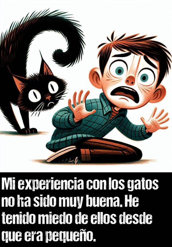 miedo: Mi experiencia con los gatos no ha sido muy buena. He tenido miedo de ellos desde que era pequeo.