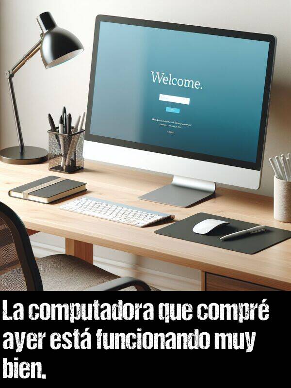 compr: La computadora que compr ayer est funcionando muy bien.