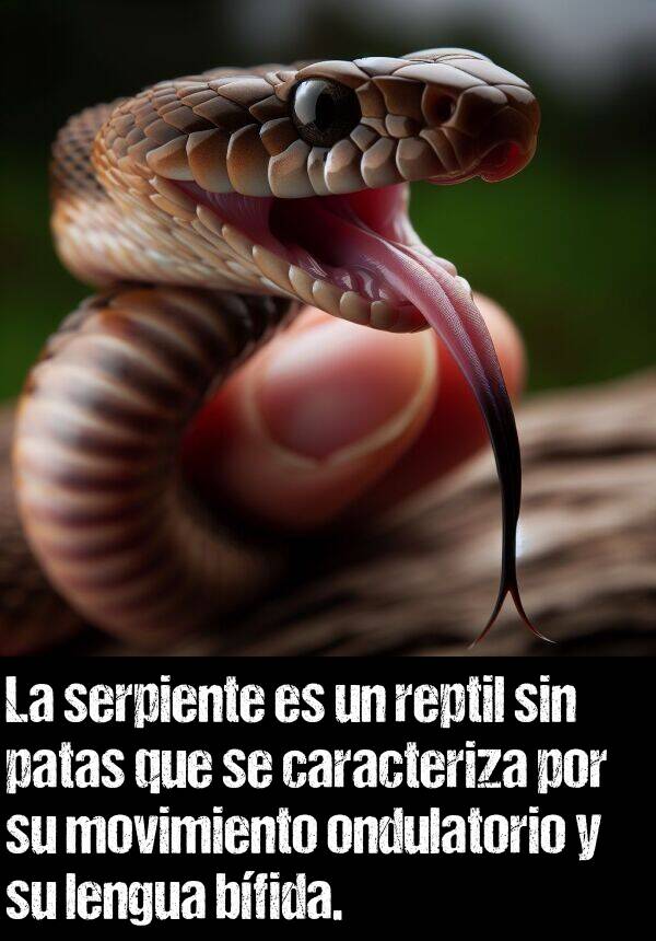 serpiente: La serpiente es un reptil sin patas que se caracteriza por su movimiento ondulatorio y su lengua bfida.