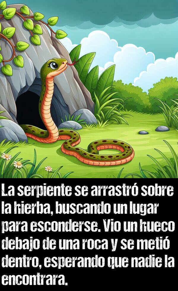 serpiente: La serpiente se arrastr sobre la hierba, buscando un lugar para esconderse. Vio un hueco debajo de una roca y se meti dentro, esperando que nadie la encontrara.