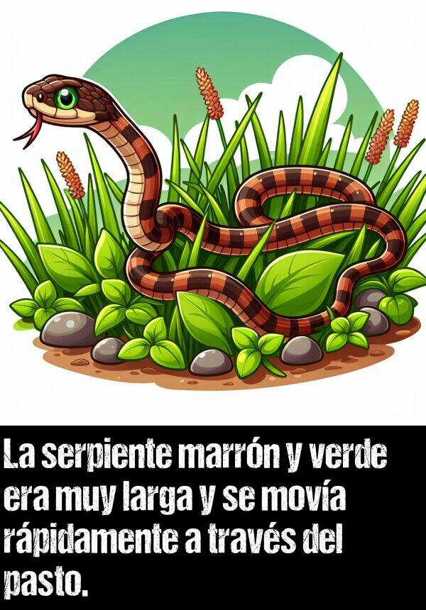 serpiente: La serpiente marrn y verde era muy larga y se mova rpidamente a travs del pasto.