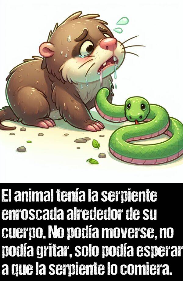 serpiente: El animal tena la serpiente enroscada alrededor de su cuerpo. No poda moverse, no poda gritar, solo poda esperar a que la serpiente lo comiera.