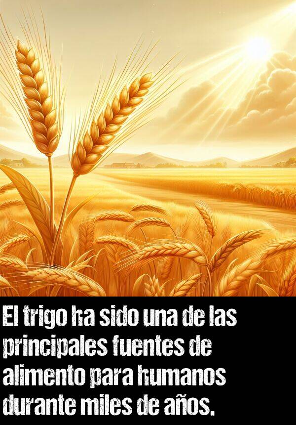 trigo: El trigo ha sido una de las principales fuentes de alimento para humanos durante miles de aos.