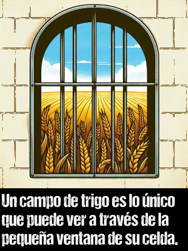 trigo: Un campo de trigo es lo nico que puede ver a travs de la pequea ventana de su celda.