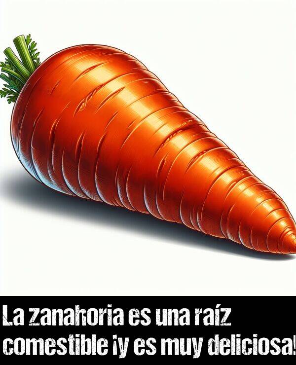 raz: La zanahoria es una raz comestible y es muy deliciosa!